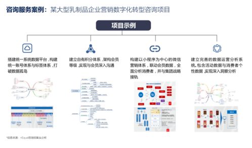 营销数字化转型 技术咨询能力是激发产品价值的关键
