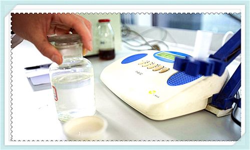 火棘乳酸菌饮料配方技术研发与咨询服务