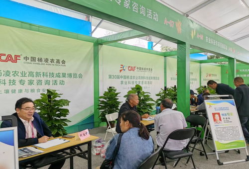 第三十届中国杨凌农业高新科技成果博览会开幕，揭秘现代农业技术咨询新趋势